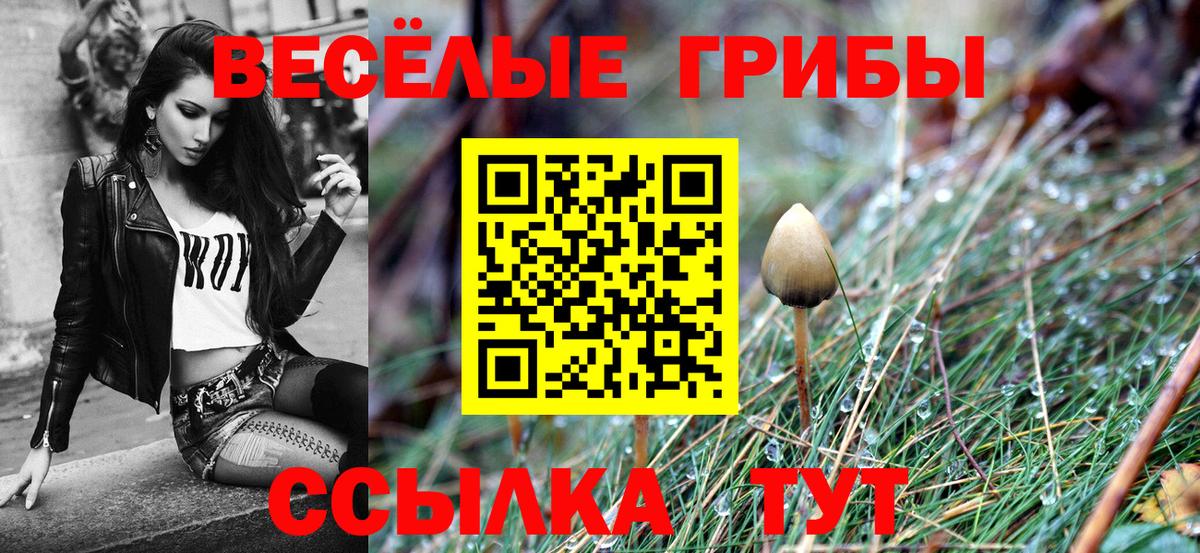 Камышин  Галлюциногенные грибы мухоморы  Вход с VPN 